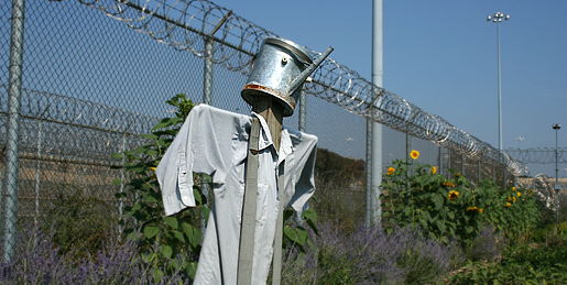 http://www.chicagonow.com/blogs/chicago-garden/Scarecrow%20at%20Cook%20County%20Jail%20Vegetable%20Garden.png